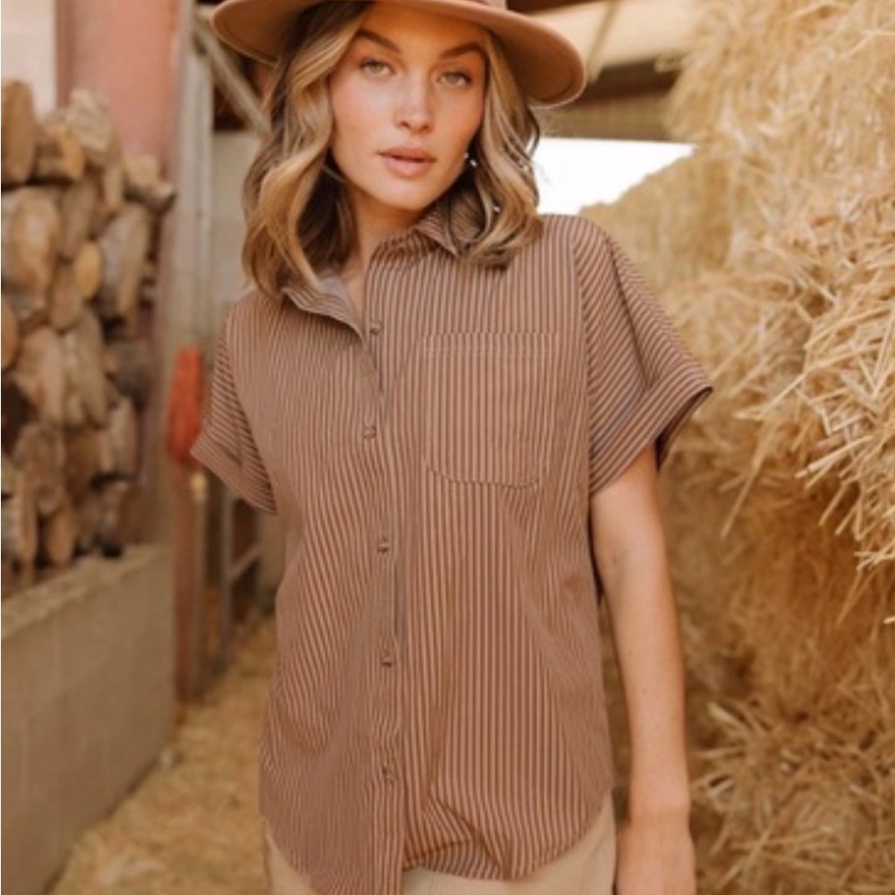 ALBION FIT Button-Down Shirt Cinnamon Stripe NWT small